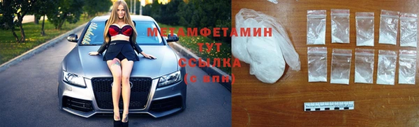 прущие грибы Мегион
