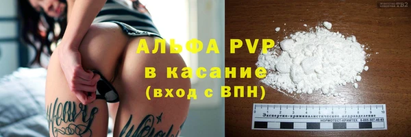 прущие грибы Мегион
