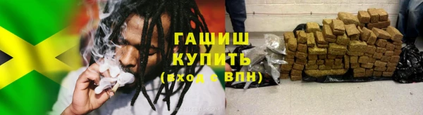 прущие грибы Мегион