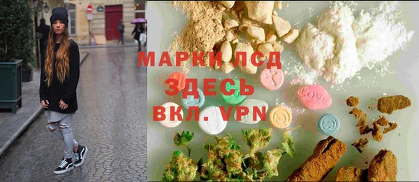 прущие грибы Мегион