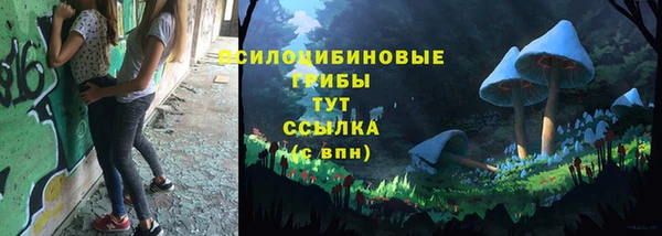 apvp Медвежьегорск