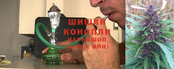 прущие грибы Мегион