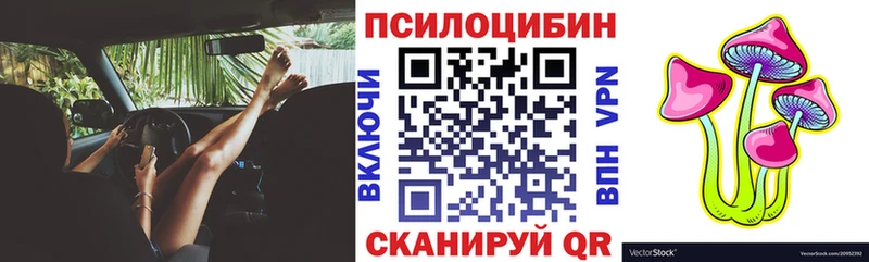 Псилоцибиновые грибы Psilocybine cubensis гидра как зайти Староминская